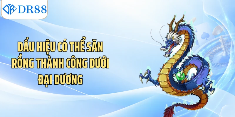 Dấu hiệu có thể săn Rồng thành công dưới đại dương