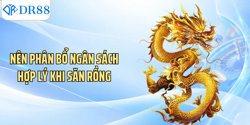 Nên phân bổ ngân sách hợp lý khi săn Rồng