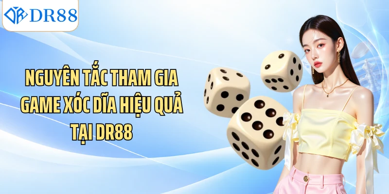 Nguyên tắc tham gia game xóc dĩa hiệu quả tại DR88