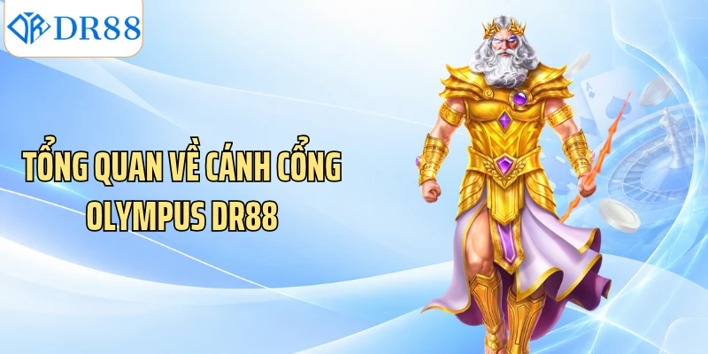 Tổng quan về cánh cổng Olympus DR88